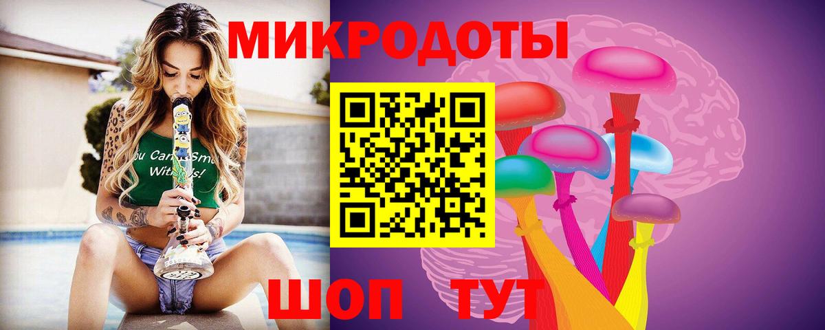 Псилоцибиновые грибы Psilocybine cubensis Казань